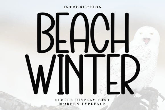 Beach Winter: A Display Font That Elevates Your Brand Identity