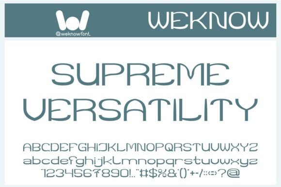 Supreme Versatility: One Font for Campaigns That Stick
